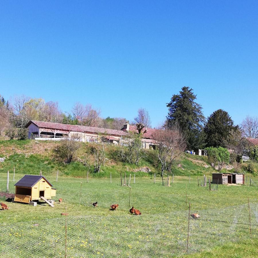 Le Pech Holiday home *